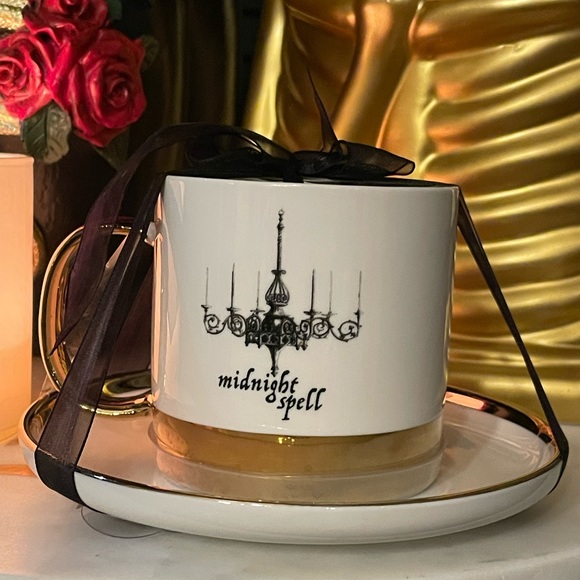 ELEGANCE Midnight Spell Chandelier Cup And Saucer Set 🖤🖤🖤 - Picture 1 of 7